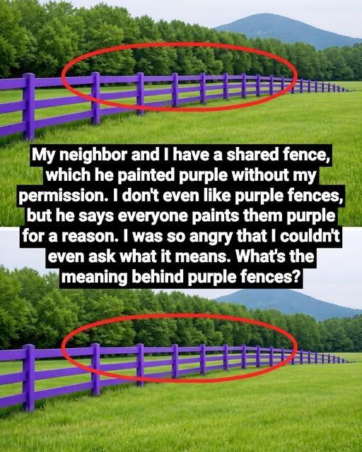 If You Spot a Painted Purple Fence, This Is What It Means