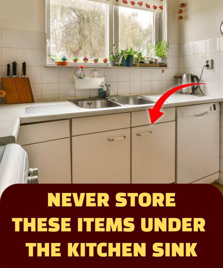 NEVER Store These Items Under the Kitchen Sink!