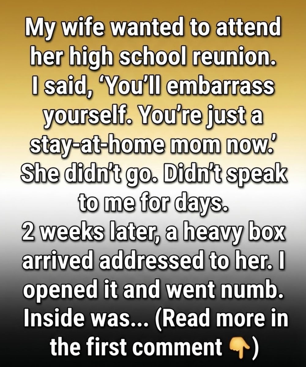 I Underestimated My Wife—Until a Box at Our Door Taught Me a Powerful Lesson.
