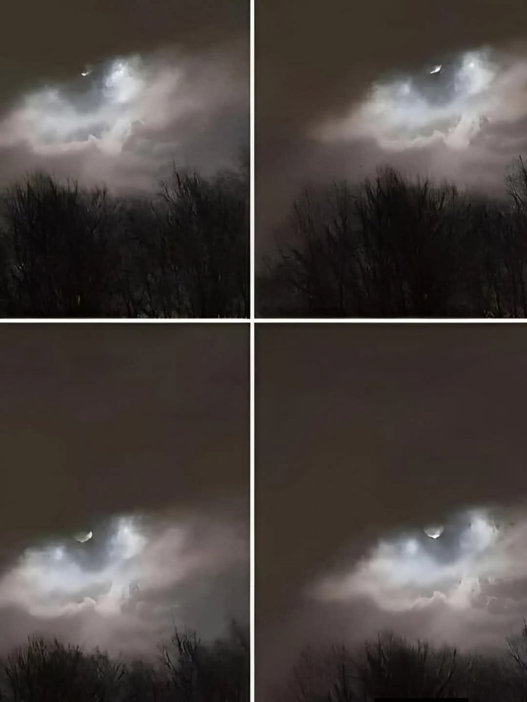 My brother took this photo only 21 km from our house: do you have any idea what it is?