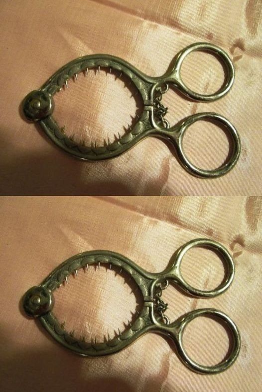 How to use this strange tool in your kitchen