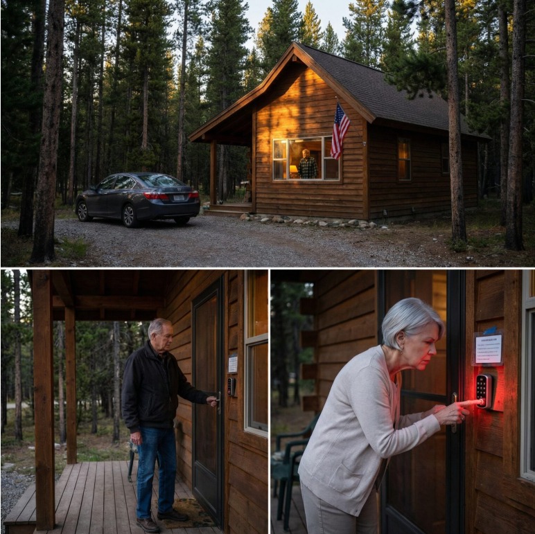 I retired and bought a small cabin in the forest to enjoy the peace and quiet of nature. Then my son-in-law called me and said, “My parents are coming to stay with you for a few days. If you don’t like it, go back to the city.”