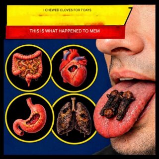 Chewing cloves for several days: unexpected effects for many.