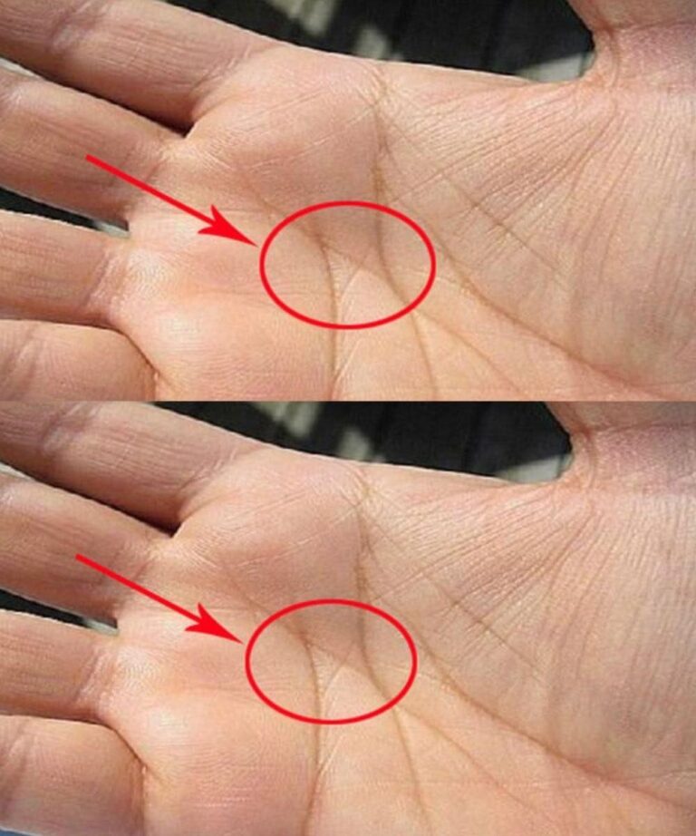 The Meaning of the “M” Line on Your Palm in Love and Marriage