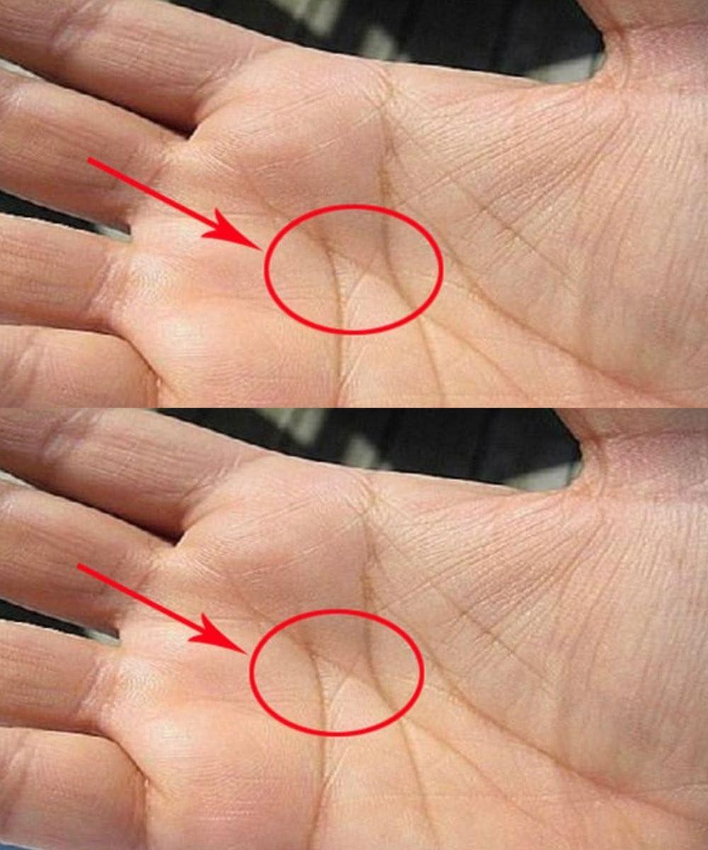 The Meaning of the “M” Line on Your Palm in Love and Marriage