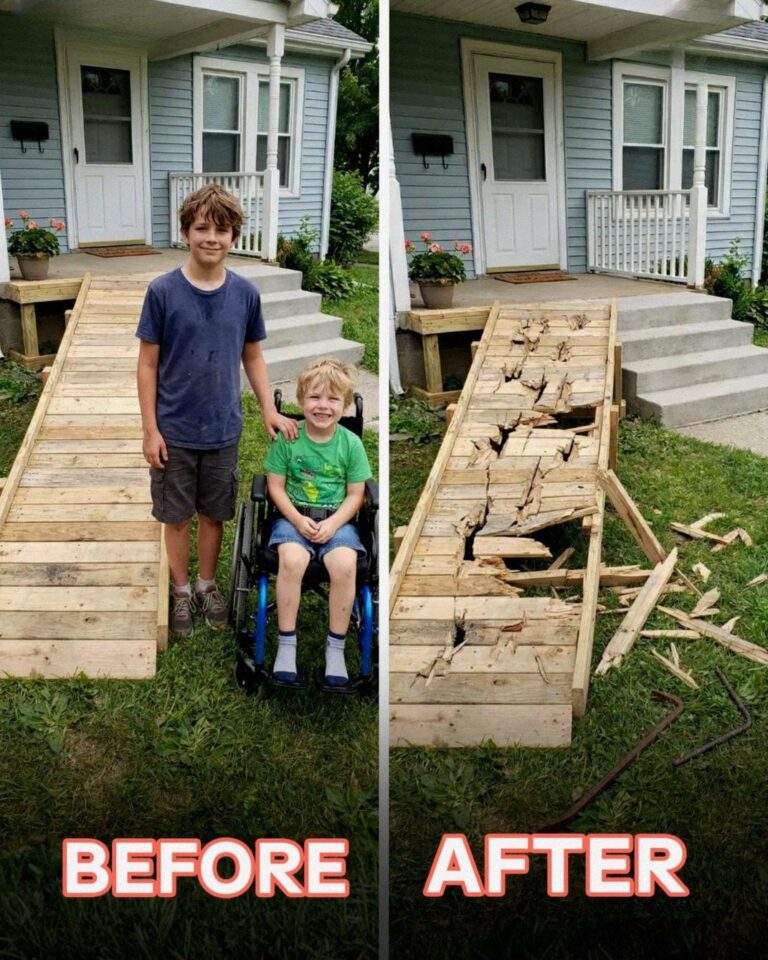 My Son Built a Ramp for the Boy Next Door – Then an Entitled Neighbor Destroyed It, but Karma Came Faster than She Expected